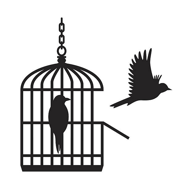 Birds in open birdcage vector Illustration